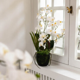 Orchidée arrangement H 80cm