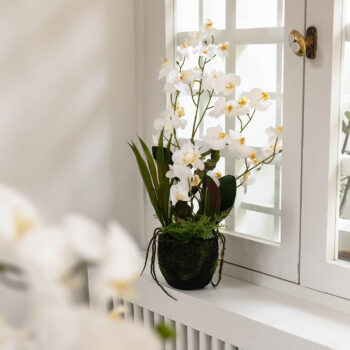 Orchidée arrangement H 80cm