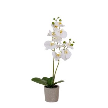 Orchidée artificielle à 2 hampes