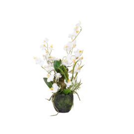 Orchidée arrangement H 51 cm