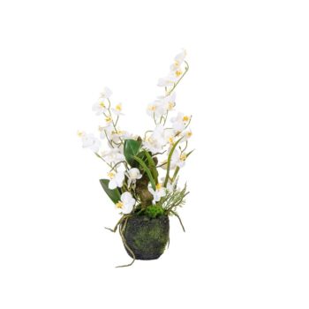 Orchidée arrangement H 51 cm