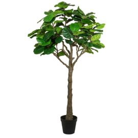 Lyrata 210cm