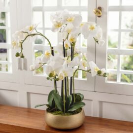 Composition d'orchidée à 8 hampes