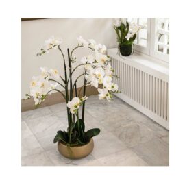 Composition d'orchidée à 7 hampes