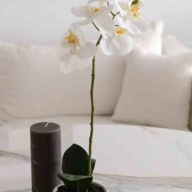 Orchidée artificielle en pot