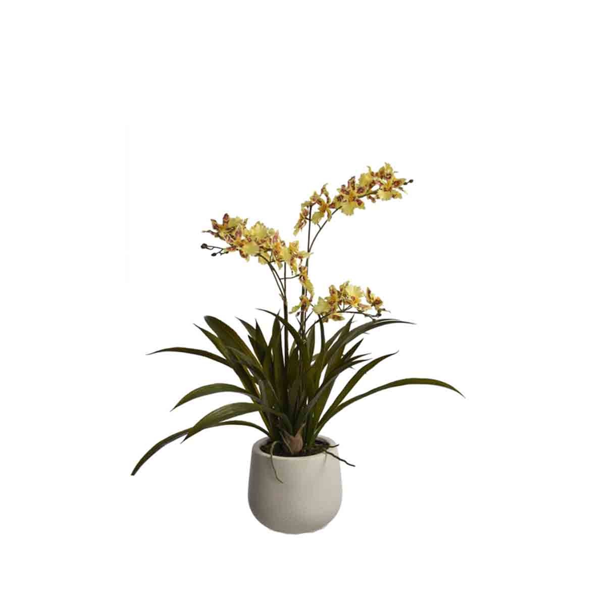 Orchidée artificielle à fleurs jaunes