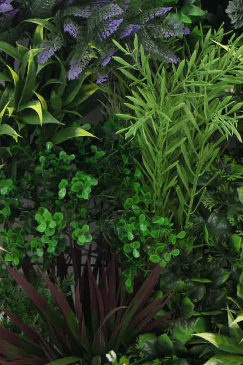 Mur végétal 3D bicolor