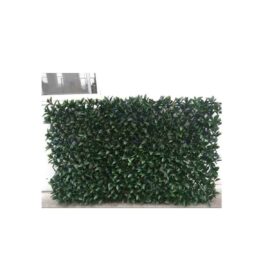 Haie télescopique chez Floralies Tunisie