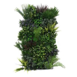 Mur végétal chez Floralies Tunisie