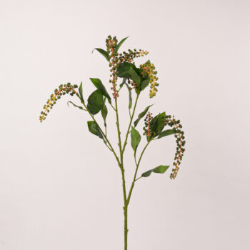 Tiges chez Floralies Tunisie