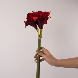 fleurs artificielles chez floralies Tunisie