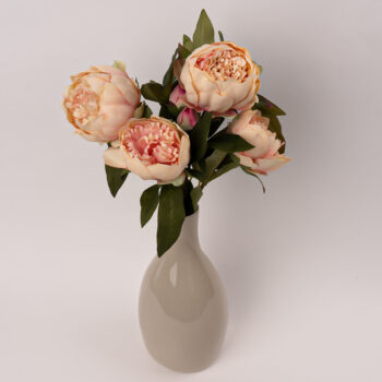Pivoines chez Floralies Tunisie