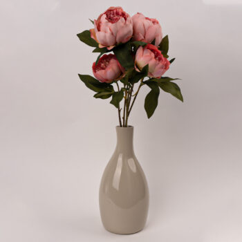 Pivoines chez Floralies Tunisie