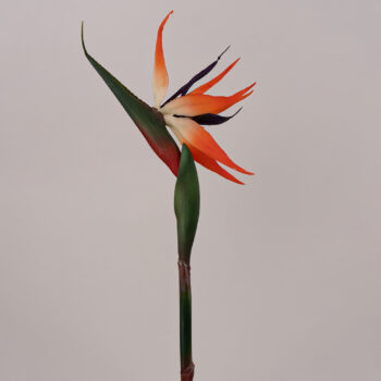 fleurs artificielles chez floralies Tunisie