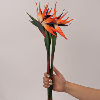 fleurs artificielles chez floralies Tunisie