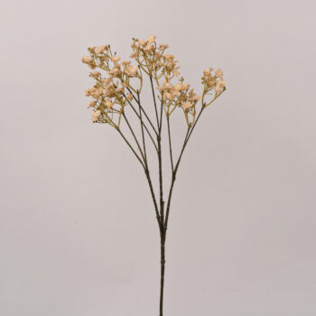 Gypsophile crème artificielle