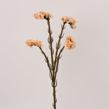 fleurs artificielles chez floralies Tunisie