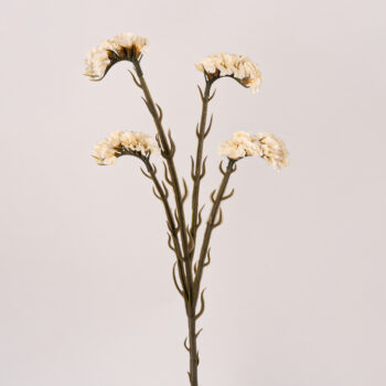 fleurs artificielles chez floralies Tunisie