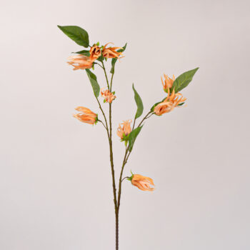 fleurs artificielles chez floralies Tunisie