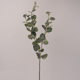 Eucalyptus artificiel