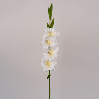 fleurs artificielles chez floralies Tunisie