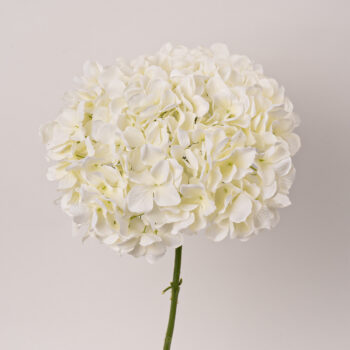 Hortensia crème artificiel