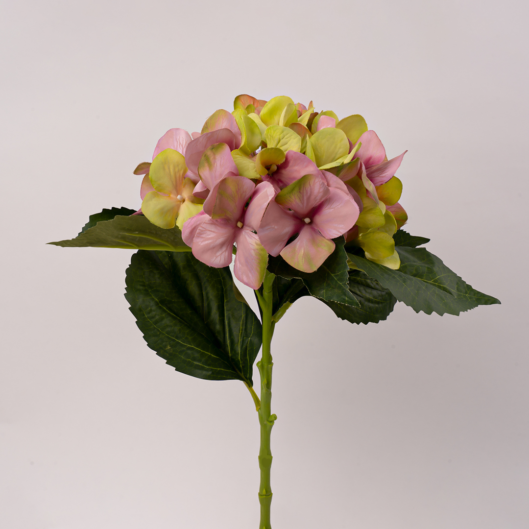 Hortensia panaché artificiel