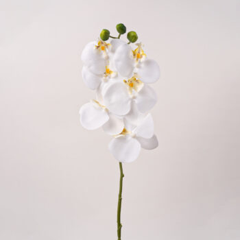fleurs artificielles chez floralies Tunisie