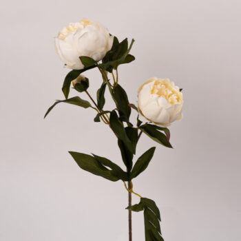 fleurs artificielles chez floralies Tunisie