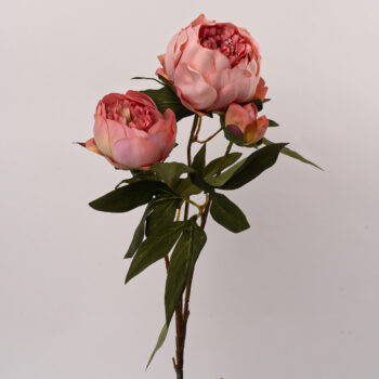 fleurs artificielles chez floralies Tunisie