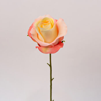 fleurs artificielles chez floralies Tunisie
