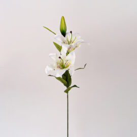 fleurs artificielles chez floralies Tunisie