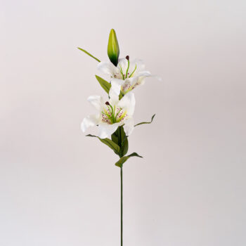 fleurs artificielles chez floralies Tunisie