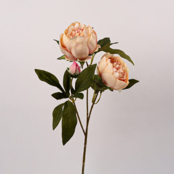fleurs artificielles chez floralies Tunisie