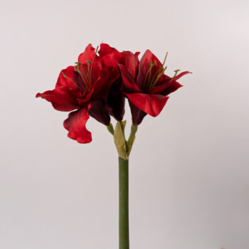 fleurs artificielles chez floralies Tunisie
