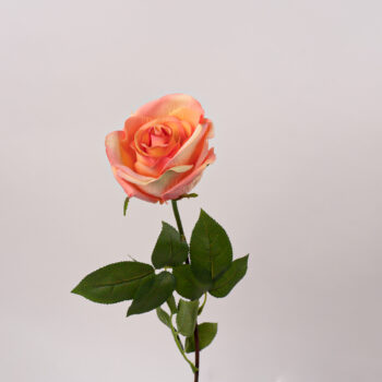 fleurs artificielles chez floralies Tunisie