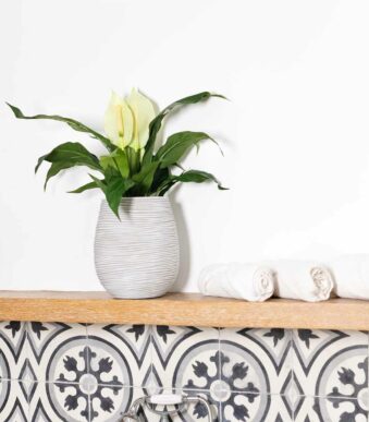 Plantes artificielles chez Floralies Tunisie