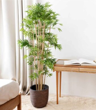 Plantes artificielles chez Floralies Tunisie