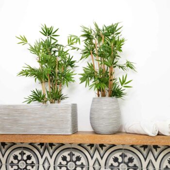 Plantes artificielles chez Floralies Tunisie