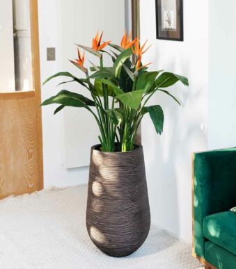 Plantes artificielles chez Floralies Tunisie