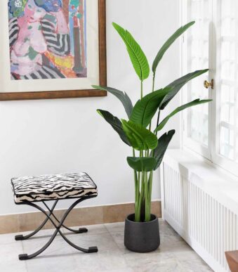 Plantes artificielles chez Floralies Tunisie