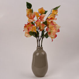 Bougainvillier pèche artificiel