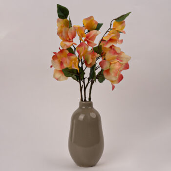 Bougainvillier pèche artificiel