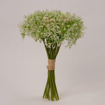 Gypsophile en bouquet