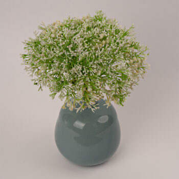 Gypsophile en bouquet