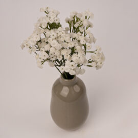 Gypsophile 33 cm crème