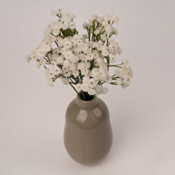 Gypsophile 33 cm crème