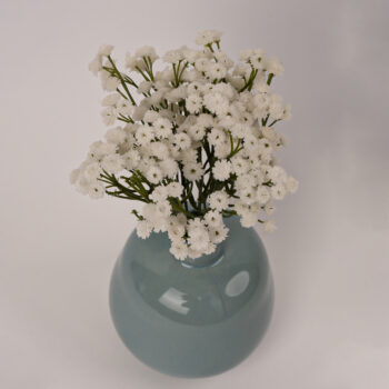 Gypsophile 33 cm crème