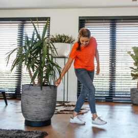 Pots chez Floralies Tunisie