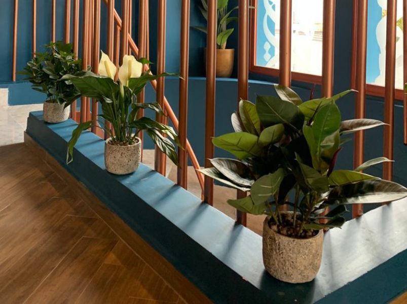 Restaurant à Menzah 9